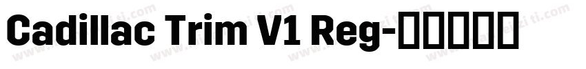 Cadillac Trim V1 Reg字体转换